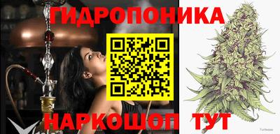 мяу мяу мука Ликино-Дулёво