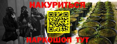 мяу мяу мука Ликино-Дулёво