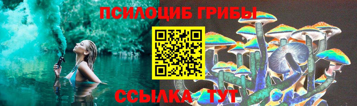 Заволжье  Галлюциногенные грибы GOLDEN TEACHER  Вход с VPN 